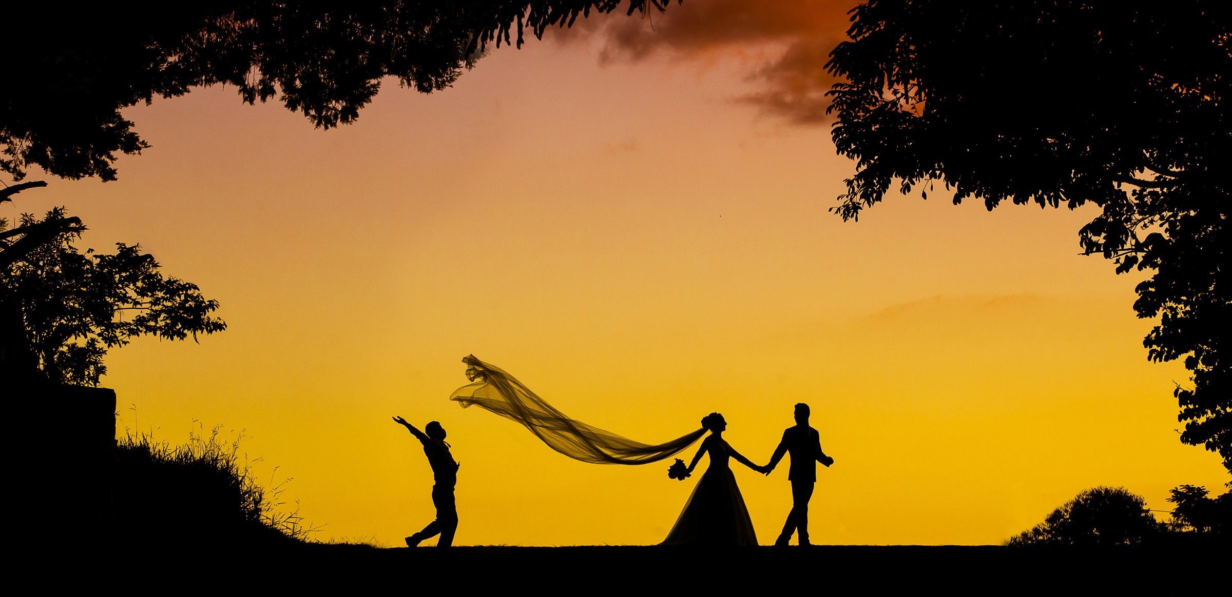 Foto de Fabiano Nunes Fotografia 8