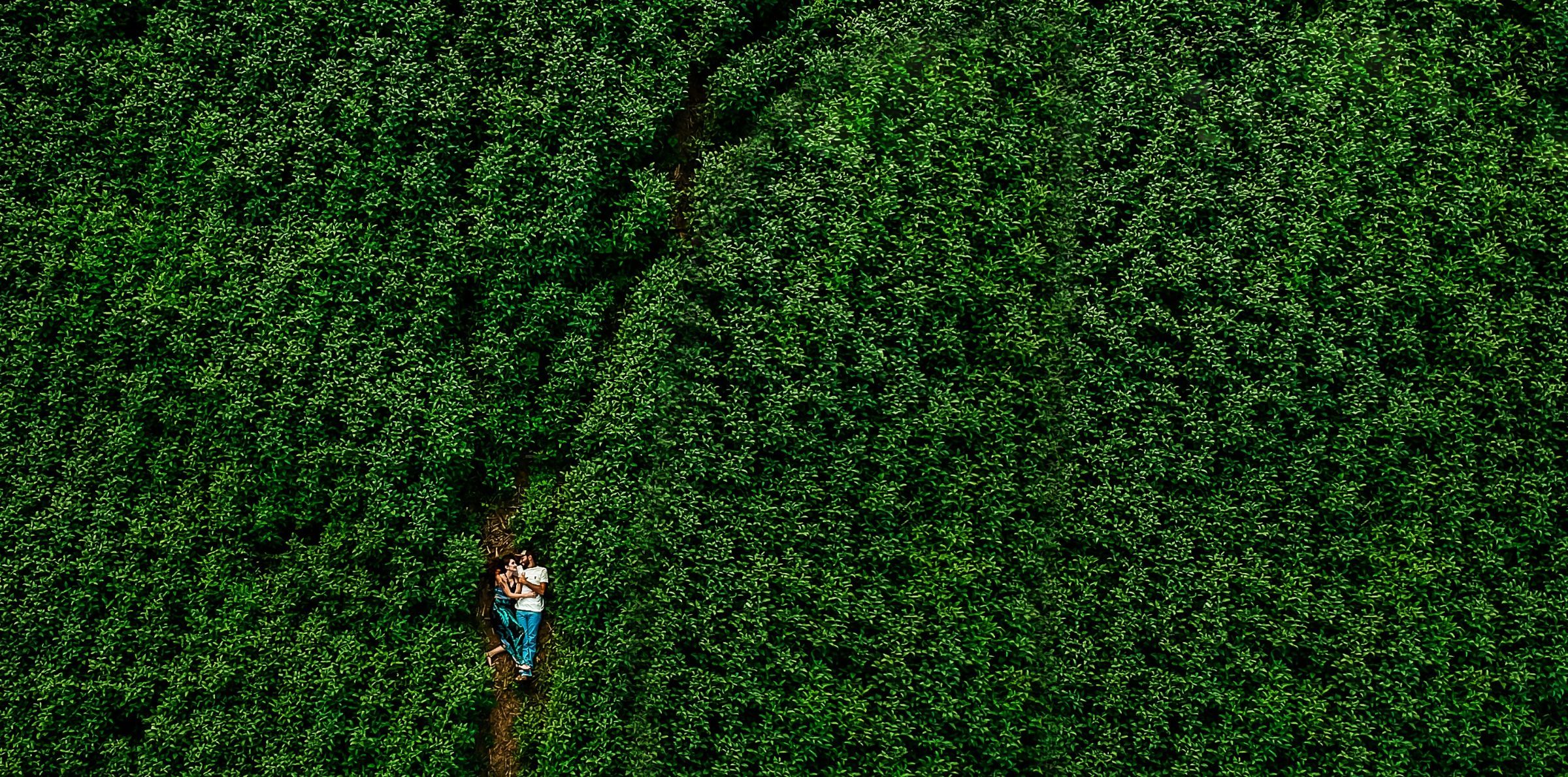 Foto de Fabiano Nunes Fotografia 3